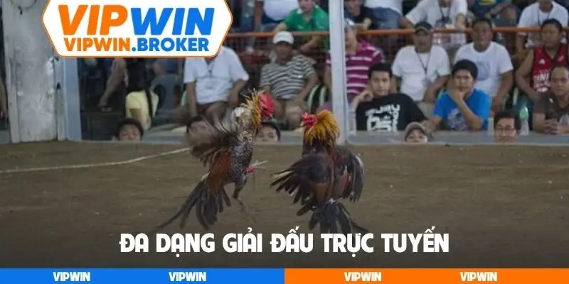 Đa dạng giải đấu trực tuyến