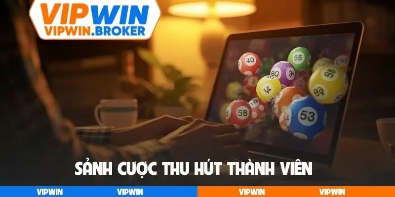 Sảnh cược thu hút thành viên